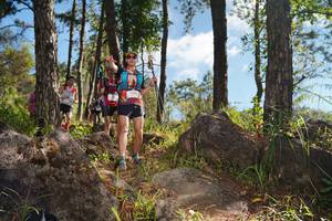 BIB: 3336
                            <button type="button" onclick="openModal(18950664)" class="btn btn-primary btn-sm float-right btn-popup" data-toggle="modal" data-target=".modal-high-quality">
                        <i class="fas fa-shopping-cart"></i> Add to Cart
                    </button>
                                            <button type="button" onclick="isThisMe(18950664, true)" class="btn btn-success btn-sm float-right btn-popup btn-isme hidden" data-toggle="tooltip" data-placement="bottom" title="นี่คือรูปของคุณใช่ไหม คลิกที่นี่เพื่อเอาเข้าอัลบั้ม">
                        <i class="fas fa-plus"></i> Add to album
                    </button>
                    <button type="button" onclick="isThisMe(18950664, false)" class="btn btn-warning btn-sm float-right btn-popup btn-isnotme hidden">
                        <i class="fas fa-ban"></i> Remove from album
                    </button>